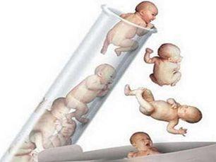 专家